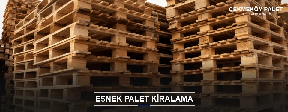 Çekmeköy Uygun Fiyatlı Palet Kiralama Çekmeköy Uygun Fiyatlı Palet Kiralama